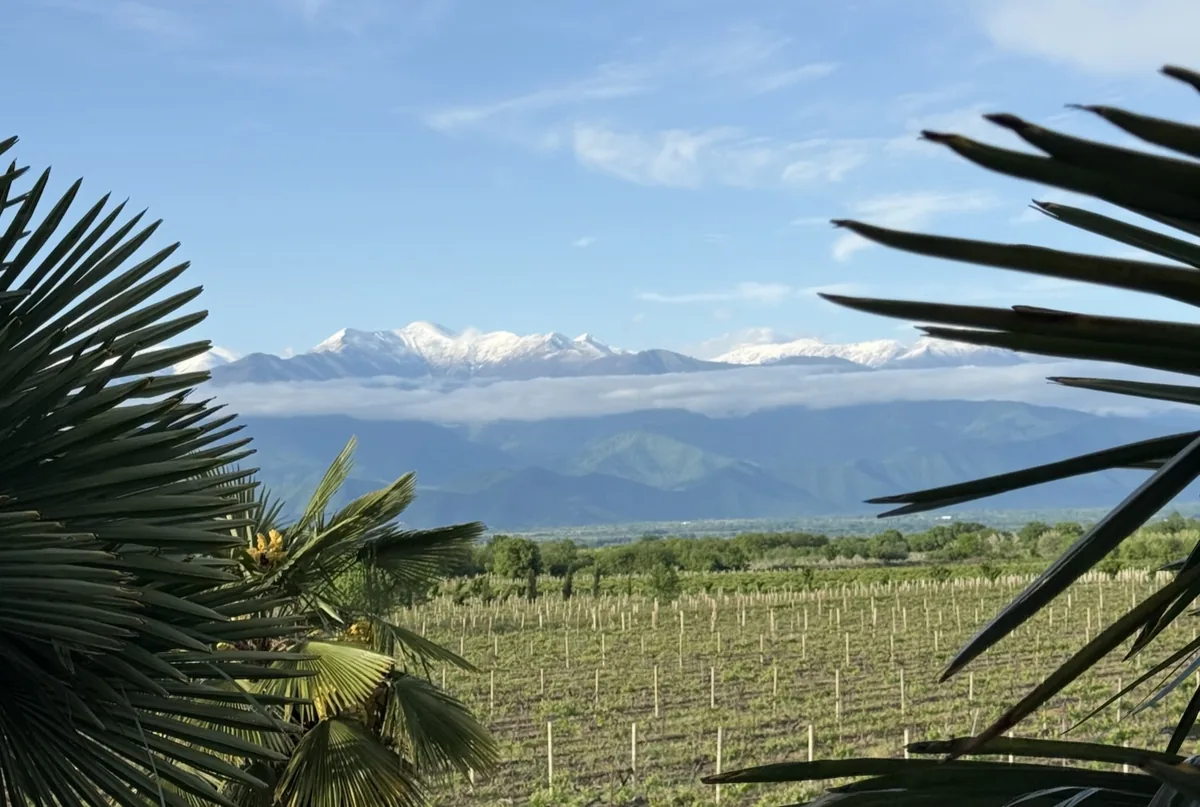 Berika's Winery