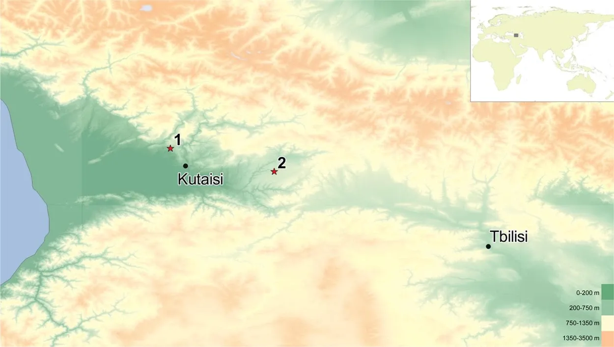 Kotias Klde – kaukasische Jäger und Sammler (aDNA)
