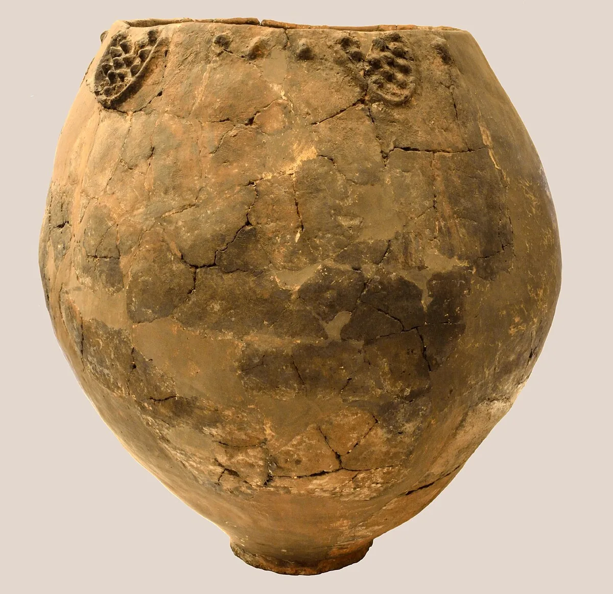 8000 Jahre Weinbau
